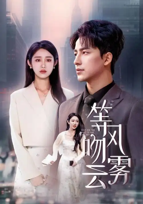 长夜灯火 热播电视剧全集手机在线观看